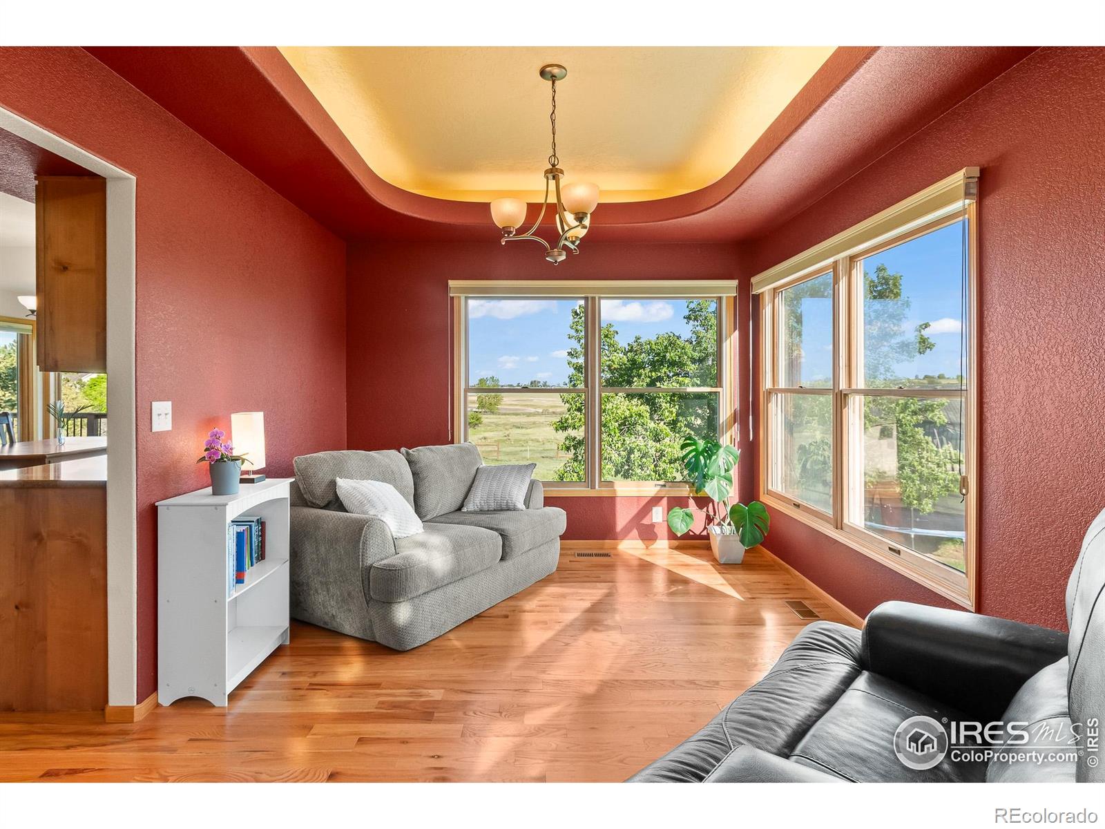 MLS Image #17 for 3020  blue mountain court,loveland, Colorado
