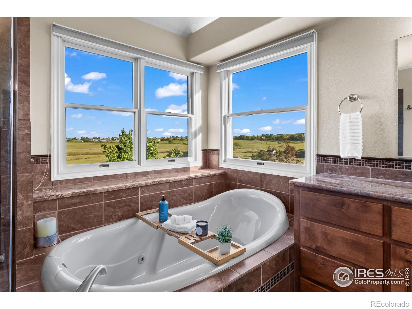 MLS Image #24 for 3020  blue mountain court,loveland, Colorado