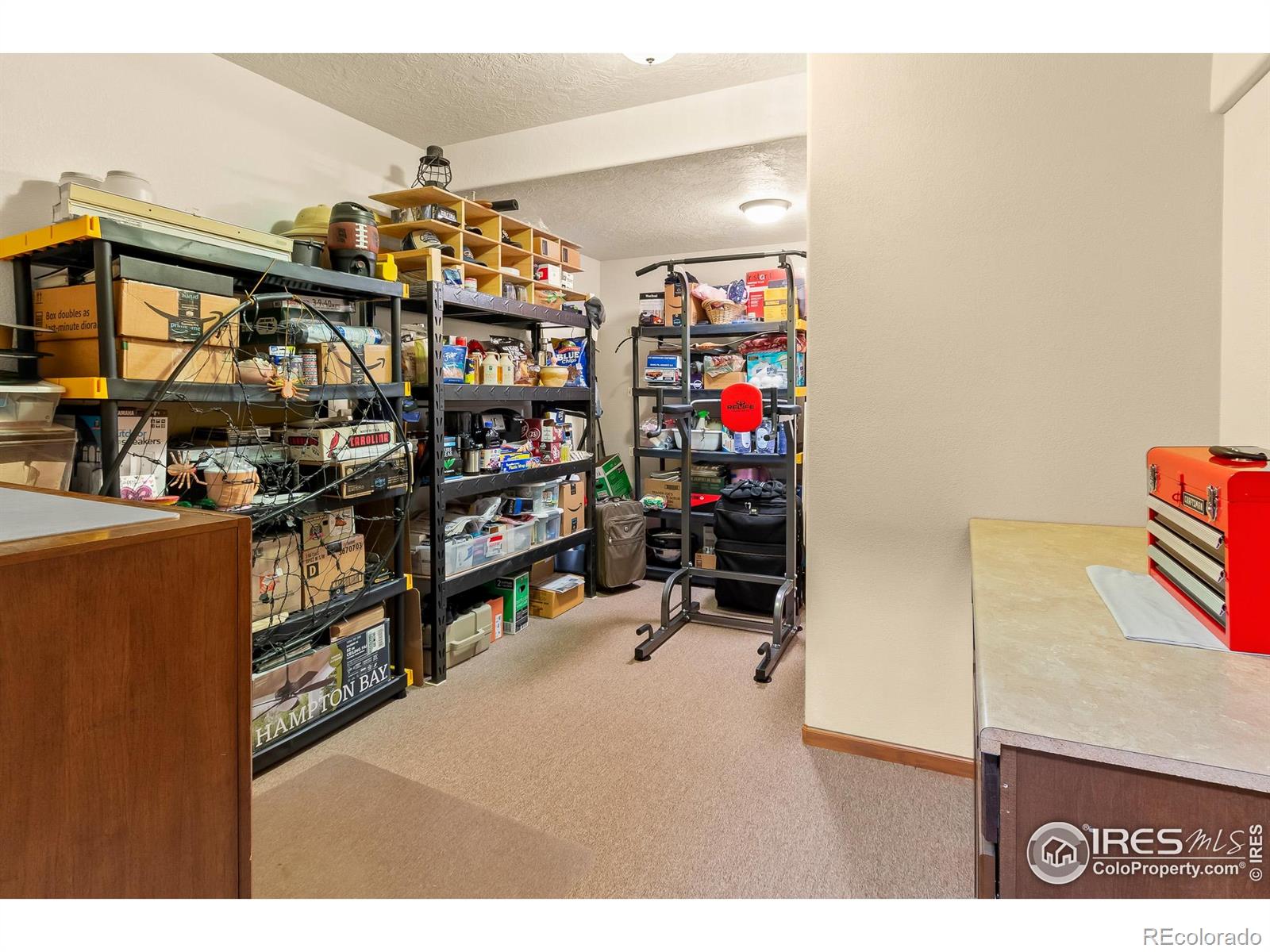 MLS Image #39 for 3020  blue mountain court,loveland, Colorado