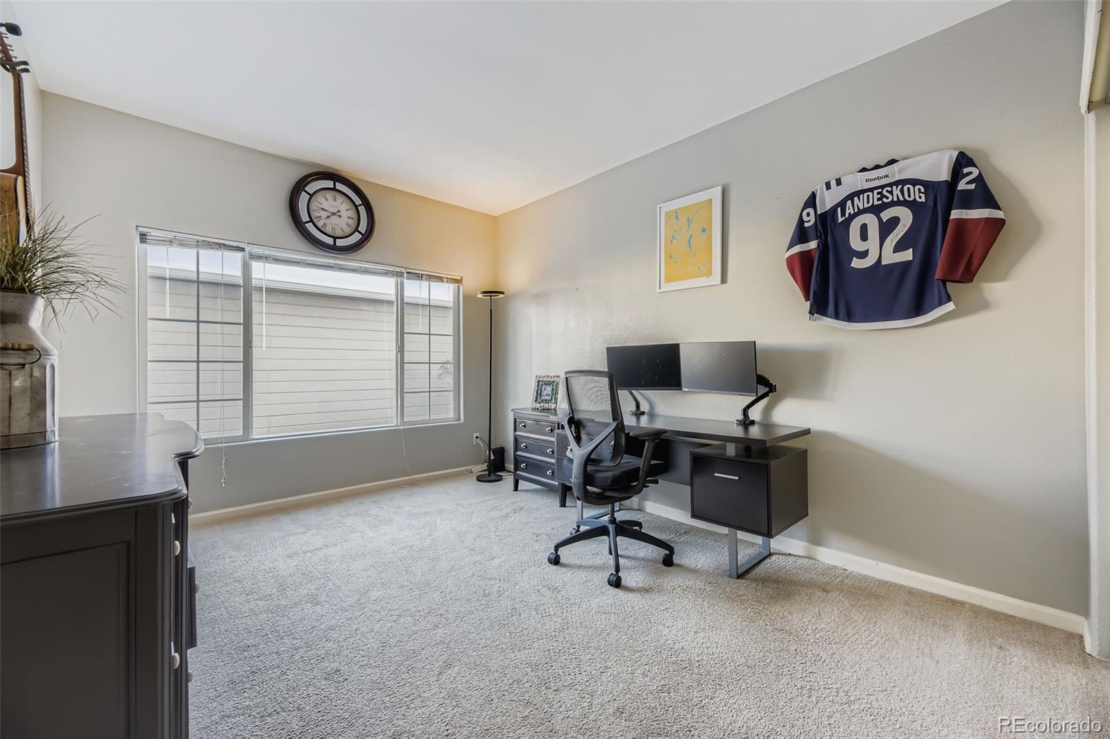 MLS Image #10 for 3722  cactus creek court,highlands ranch, Colorado
