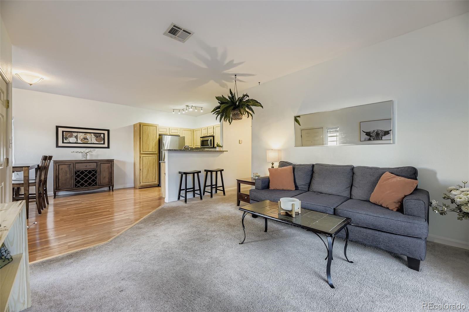 MLS Image #6 for 3722  cactus creek court,highlands ranch, Colorado