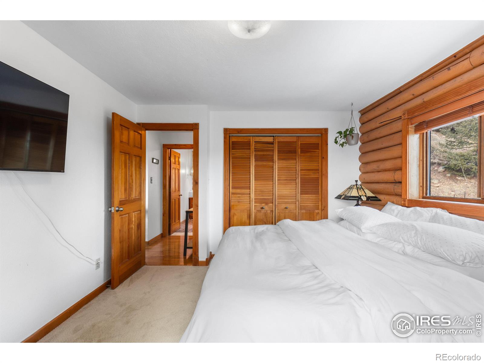 MLS Image #15 for 10221  blue sky trail,conifer, Colorado