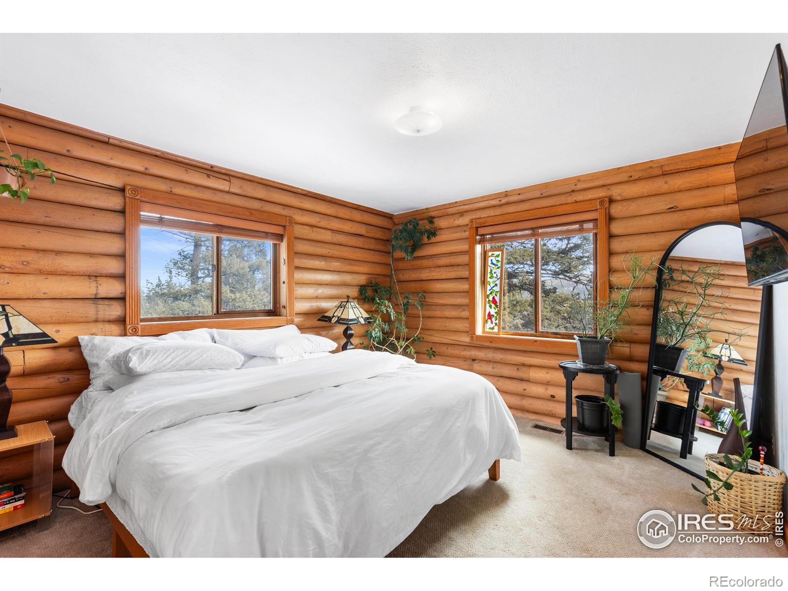 MLS Image #16 for 10221  blue sky trail,conifer, Colorado