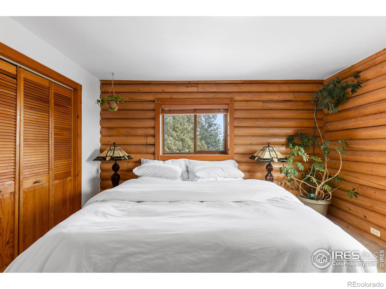 MLS Image #19 for 10221  blue sky trail,conifer, Colorado