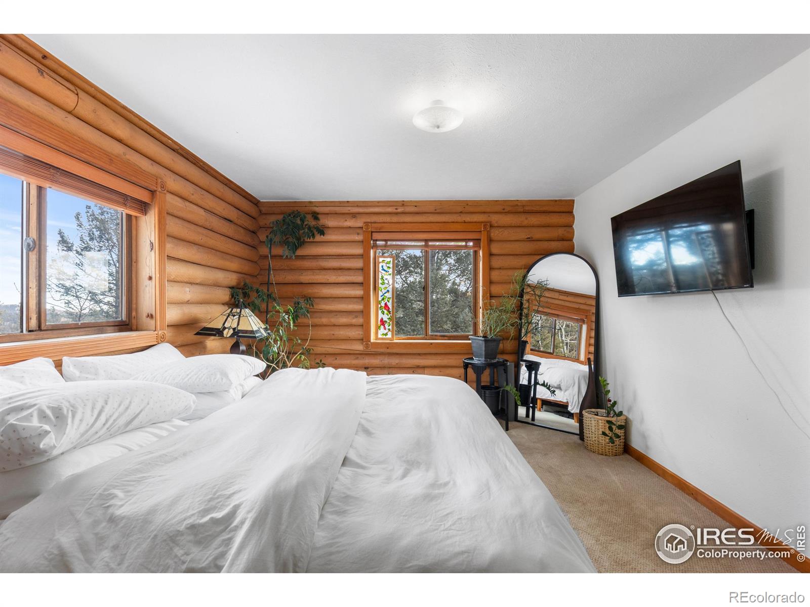 MLS Image #23 for 10221  blue sky trail,conifer, Colorado