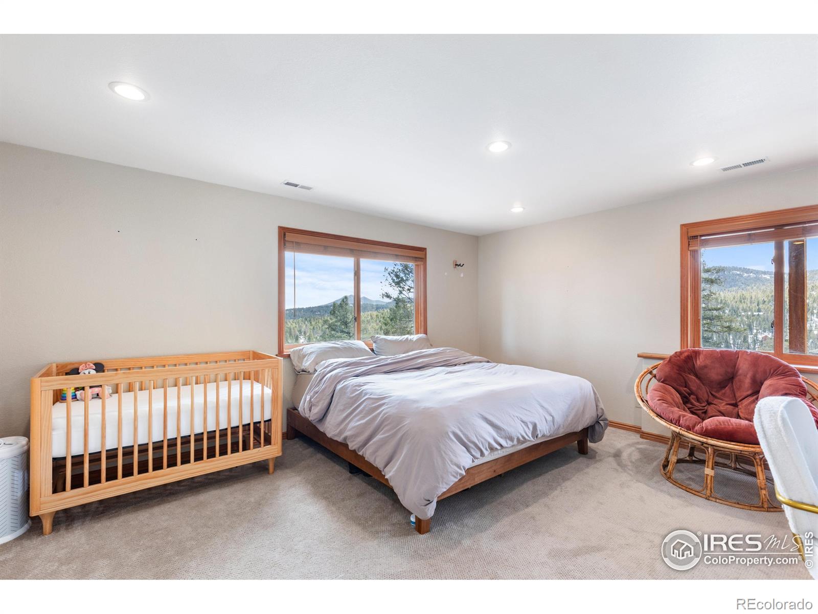MLS Image #30 for 10221  blue sky trail,conifer, Colorado