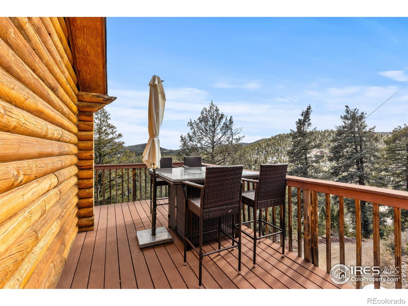 MLS Image #31 for 10221  blue sky trail,conifer, Colorado
