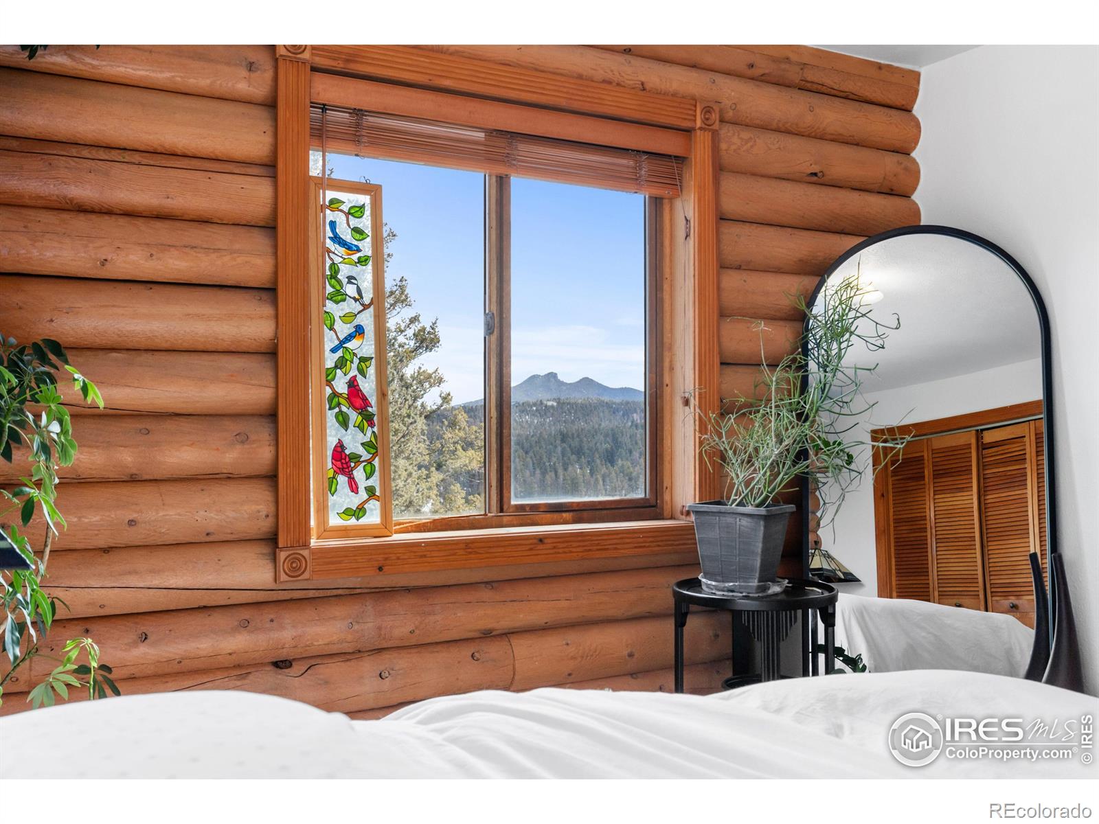MLS Image #32 for 10221  blue sky trail,conifer, Colorado