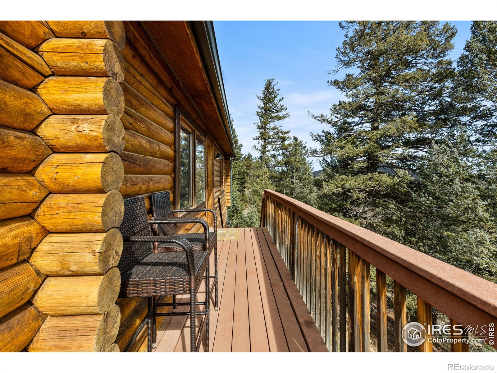 MLS Image #33 for 10221  blue sky trail,conifer, Colorado