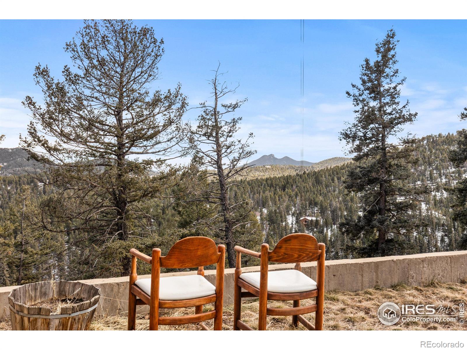 MLS Image #35 for 10221  blue sky trail,conifer, Colorado