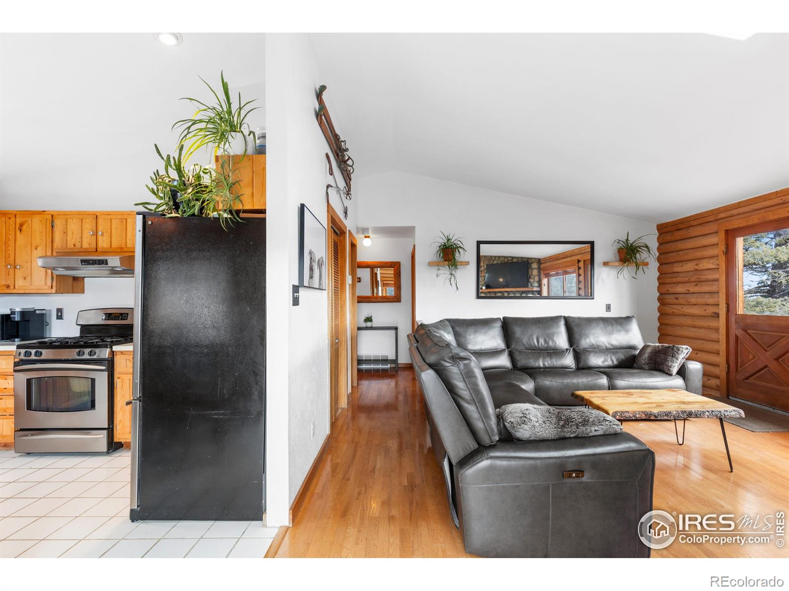 MLS Image #4 for 10221  blue sky trail,conifer, Colorado