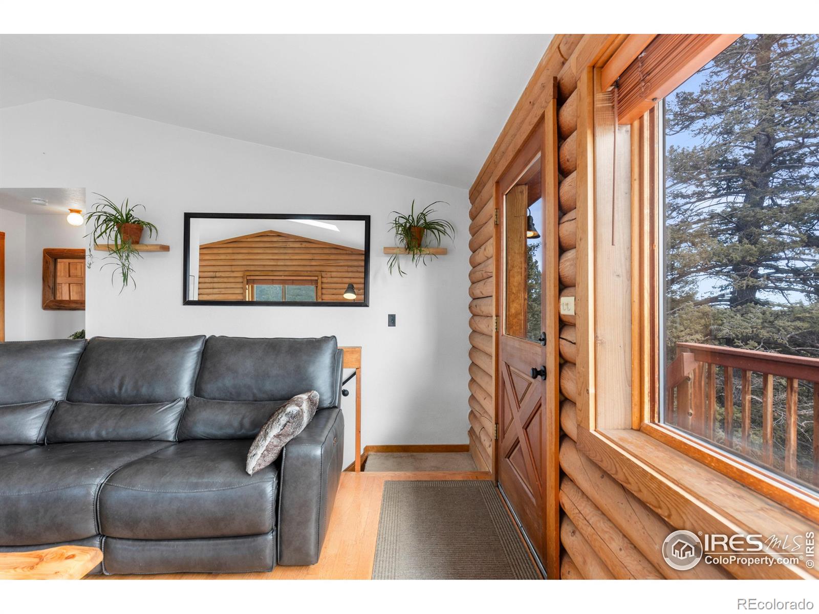 MLS Image #7 for 10221  blue sky trail,conifer, Colorado