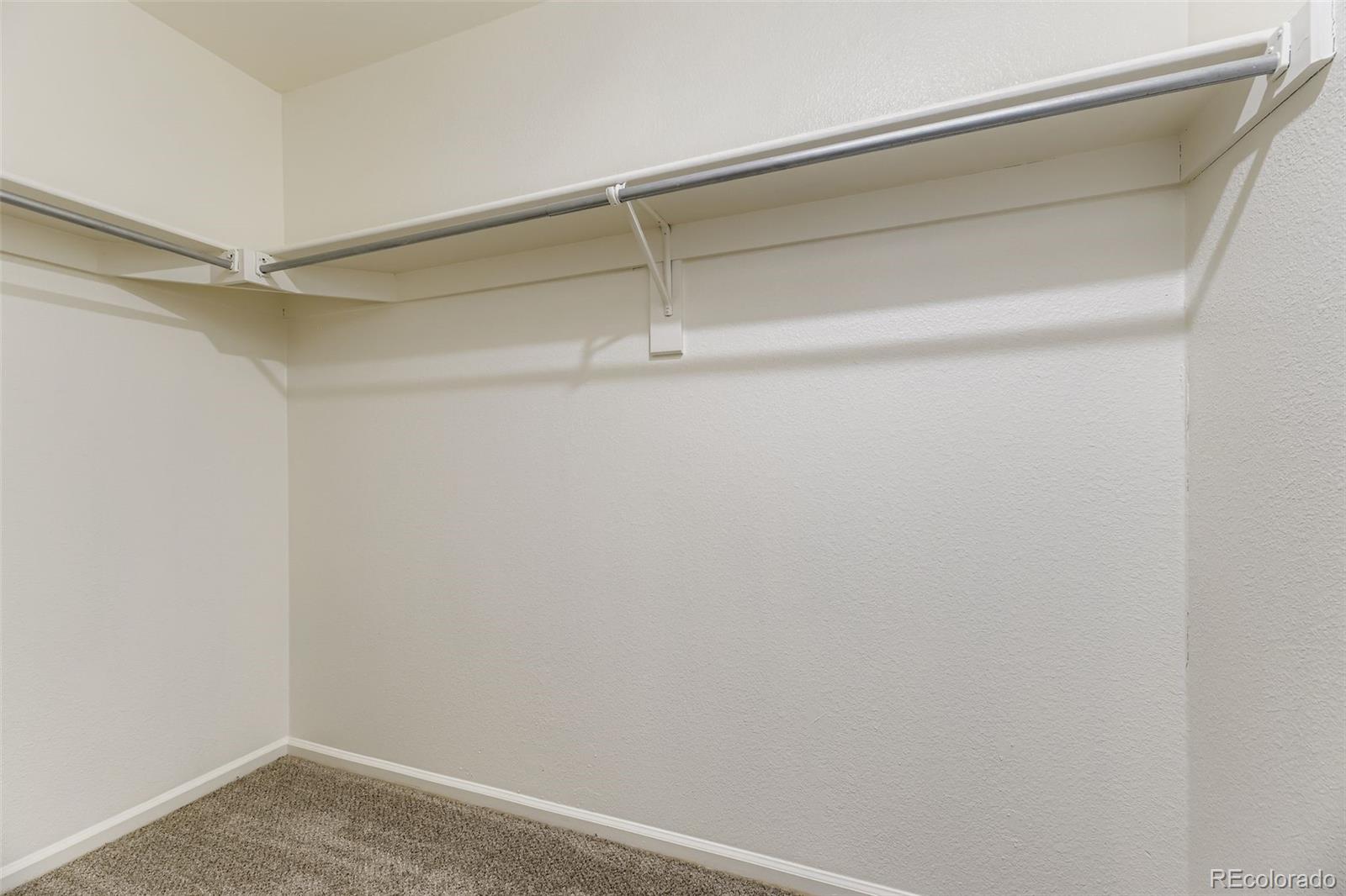 MLS Image #19 for 3781  morning glory drive,castle rock, Colorado
