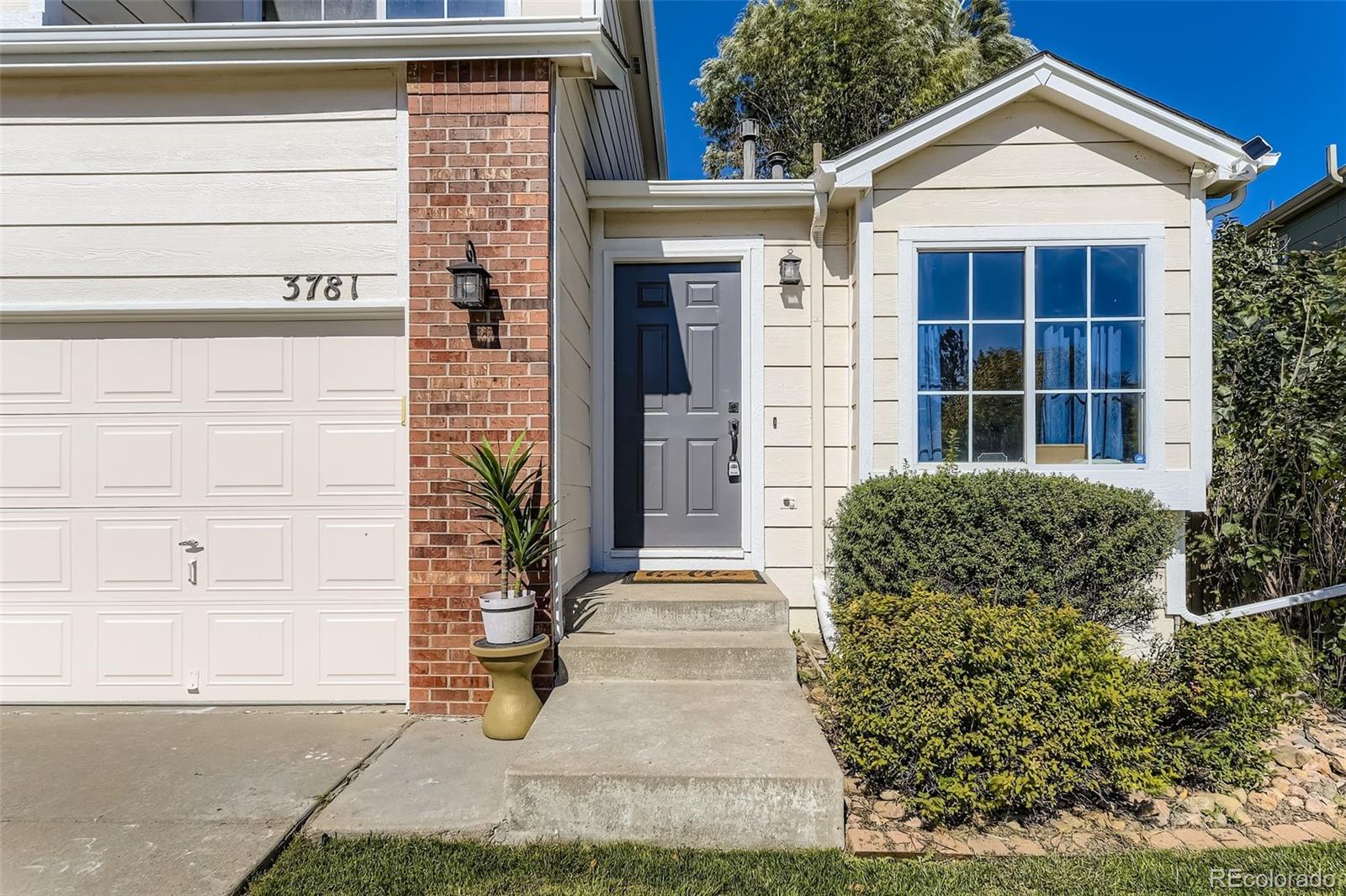 MLS Image #3 for 3781  morning glory drive,castle rock, Colorado