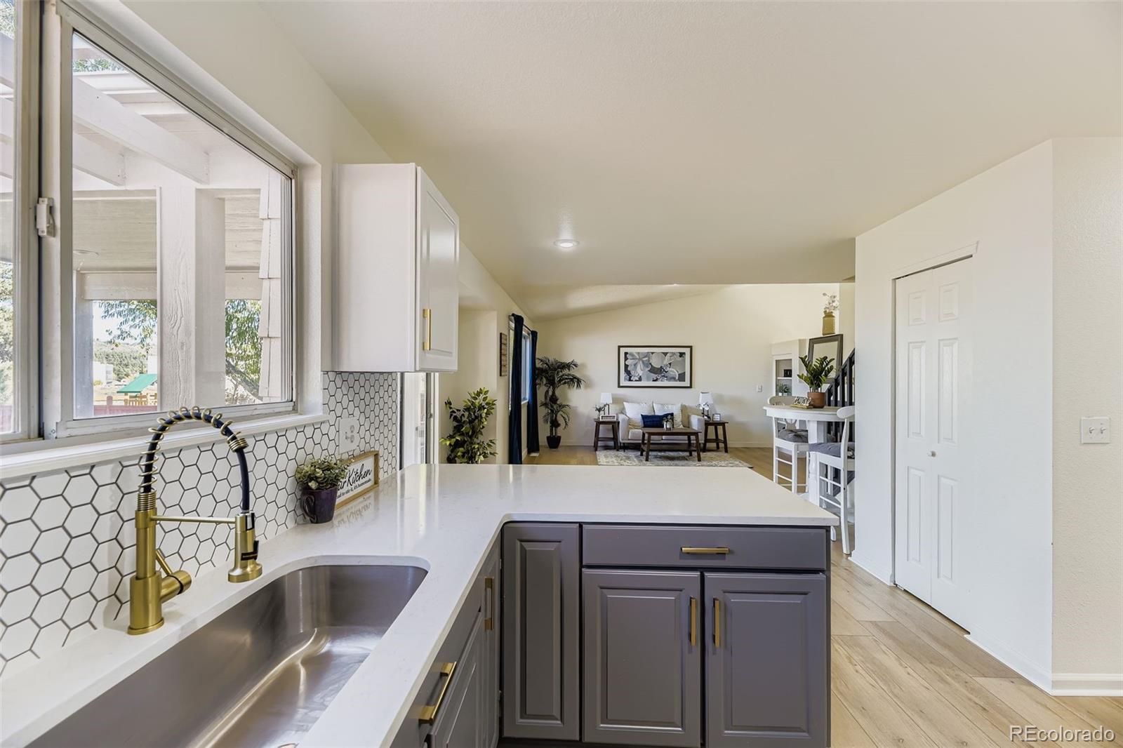 MLS Image #9 for 3781  morning glory drive,castle rock, Colorado