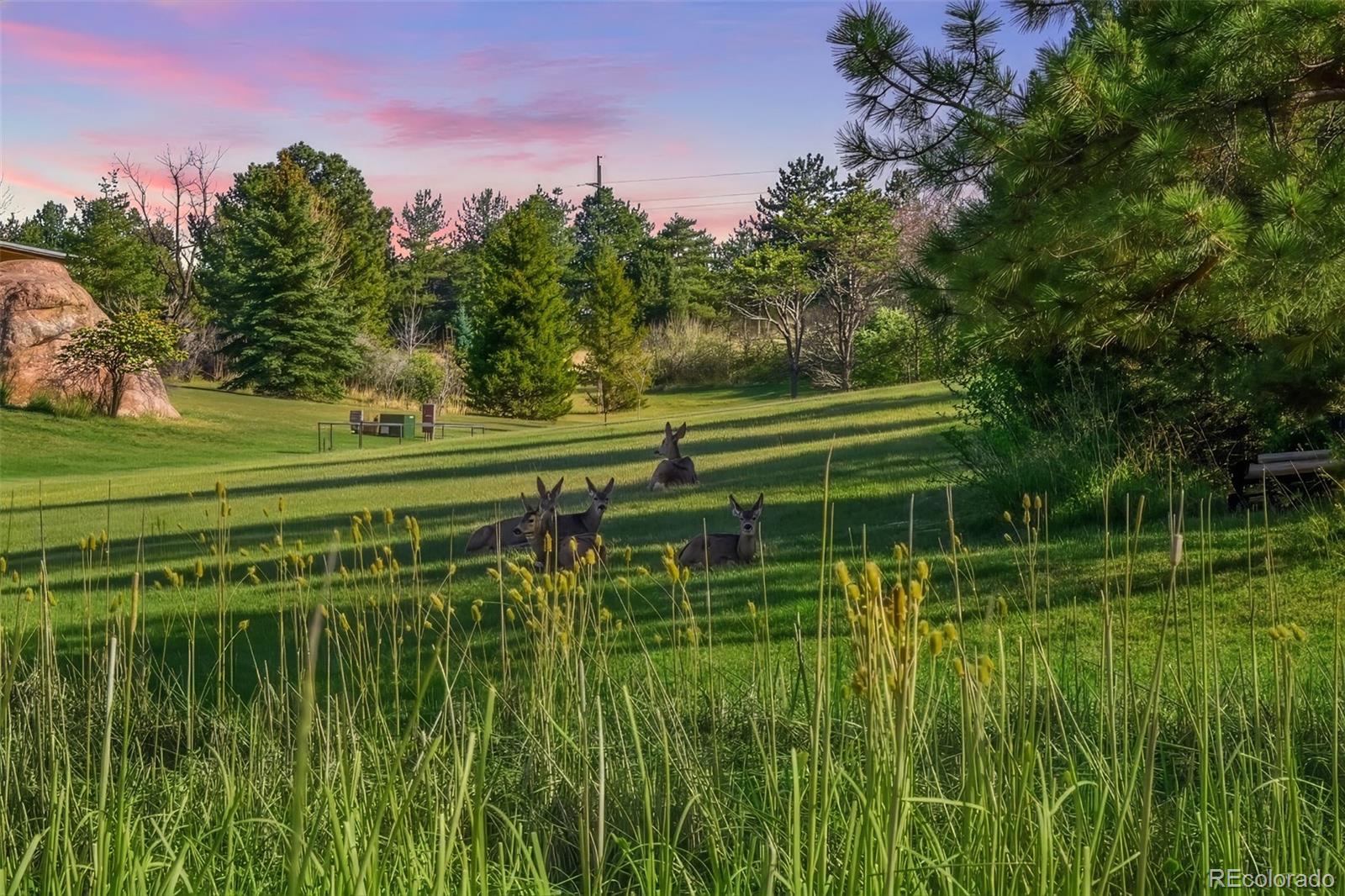 MLS Image #38 for 6154  meadowbrook drive,morrison, Colorado