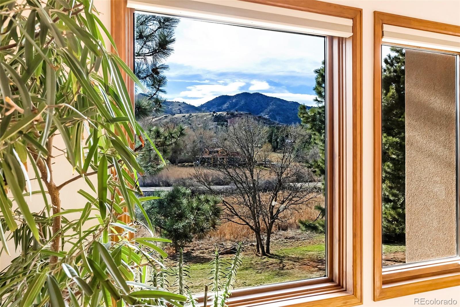 MLS Image #6 for 6154  meadowbrook drive,morrison, Colorado