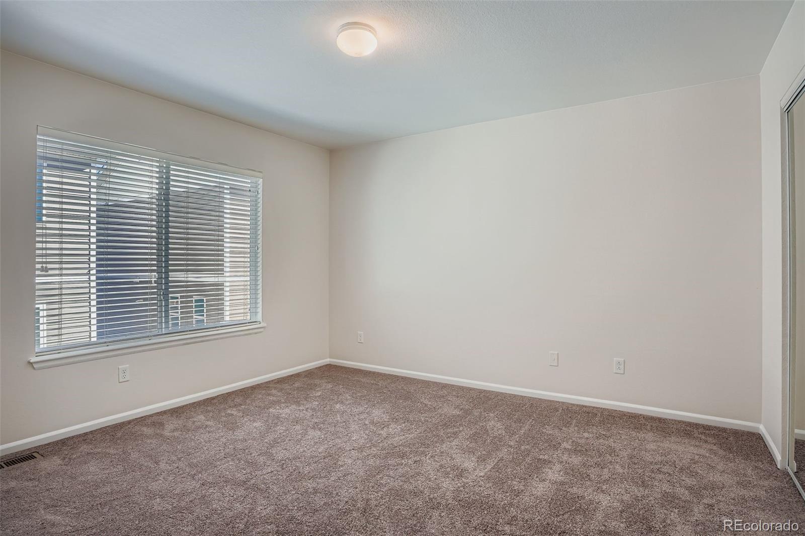 MLS Image #10 for 18649 e 46th place,denver, Colorado