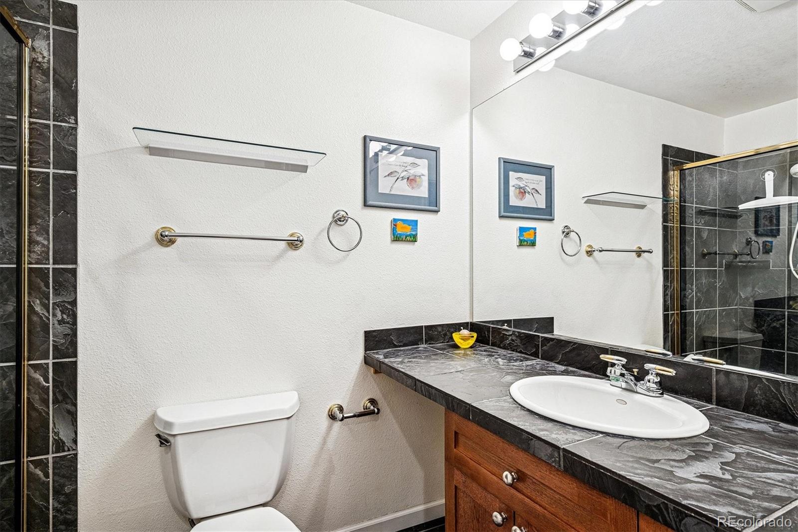 MLS Image #30 for 2844  greensborough drive,highlands ranch, Colorado