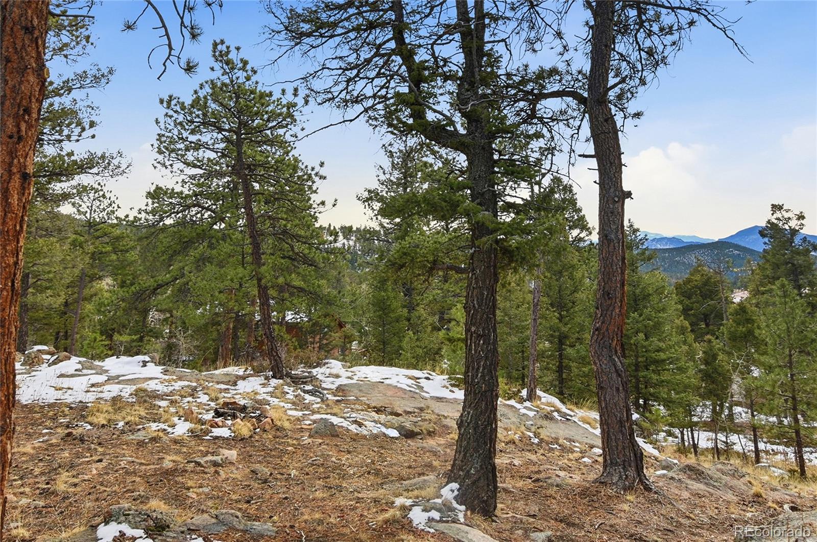 MLS Image #37 for 30608  hood road,conifer, Colorado