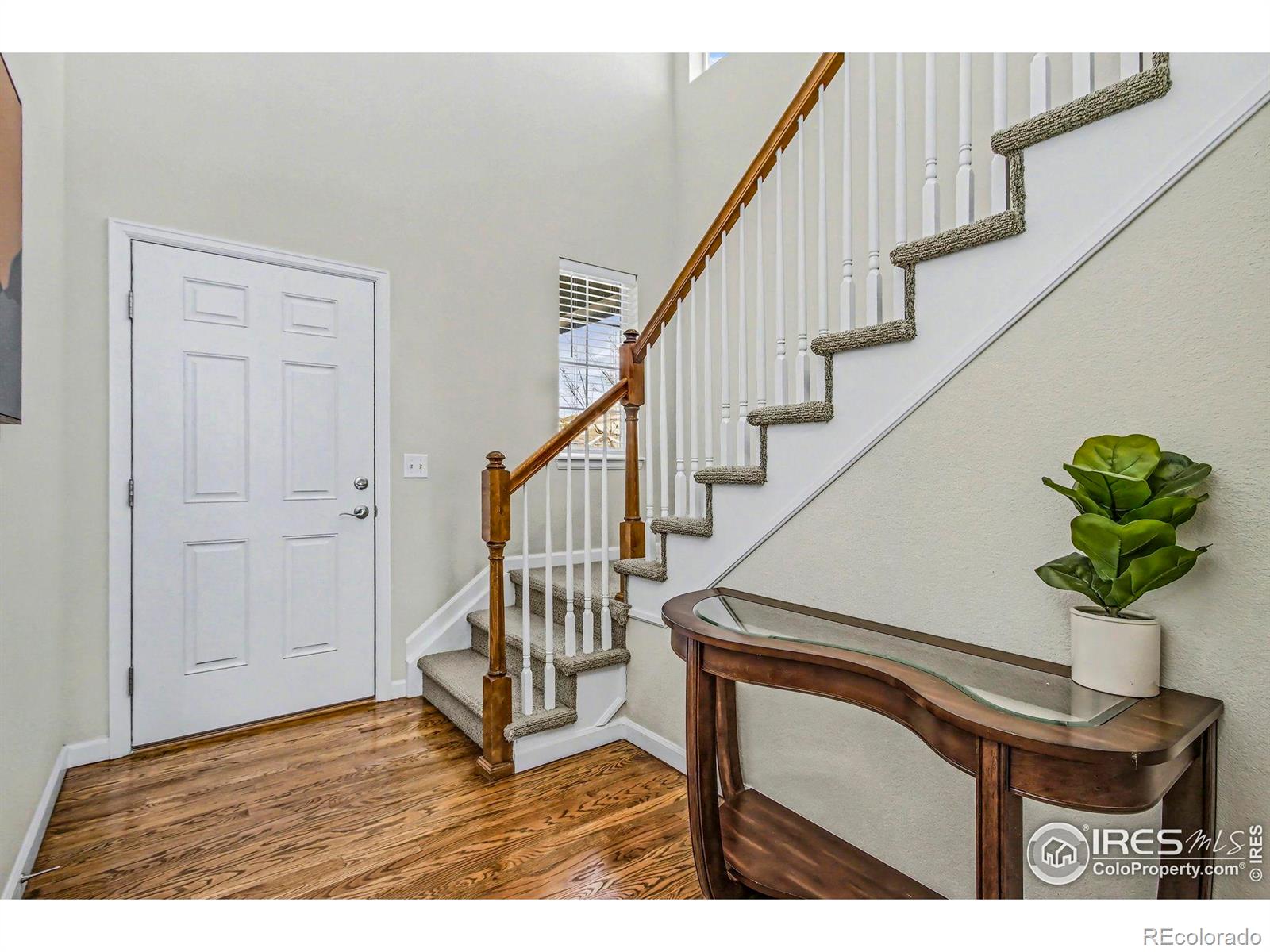 MLS Image #5 for 3114  bryce drive,fort collins, Colorado