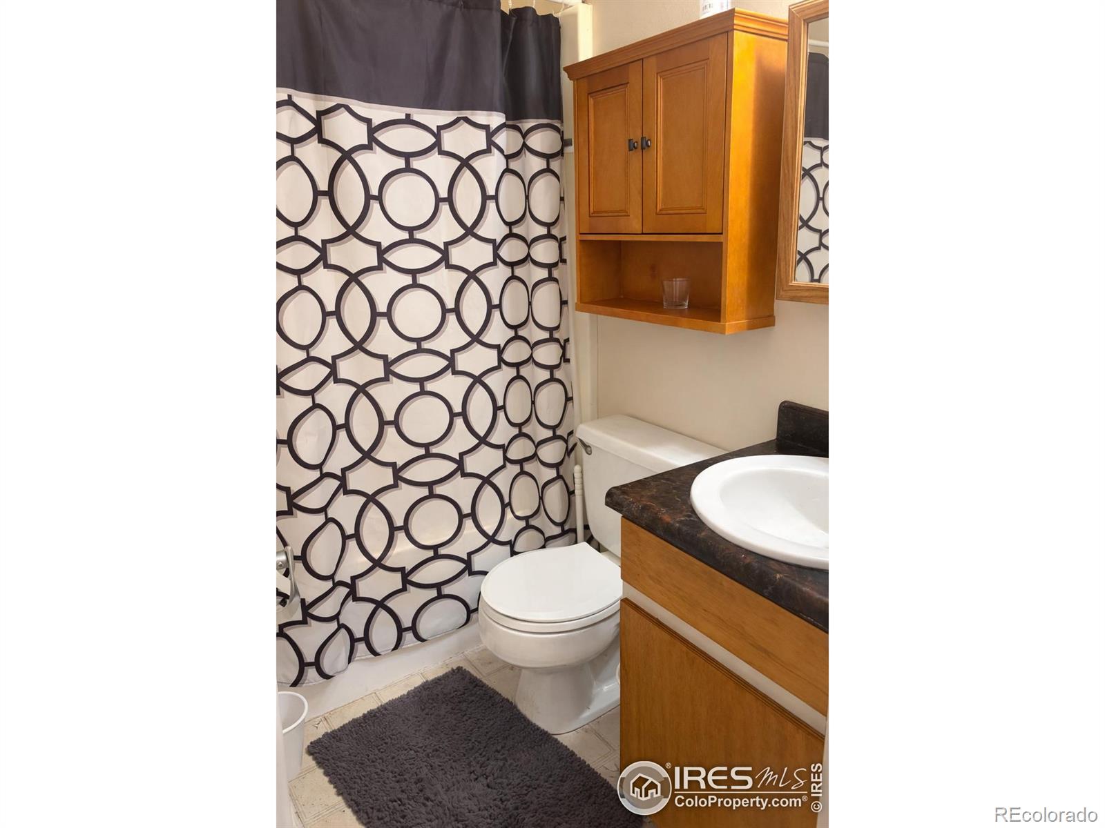 MLS Image #8 for 3029  ross drive,fort collins, Colorado