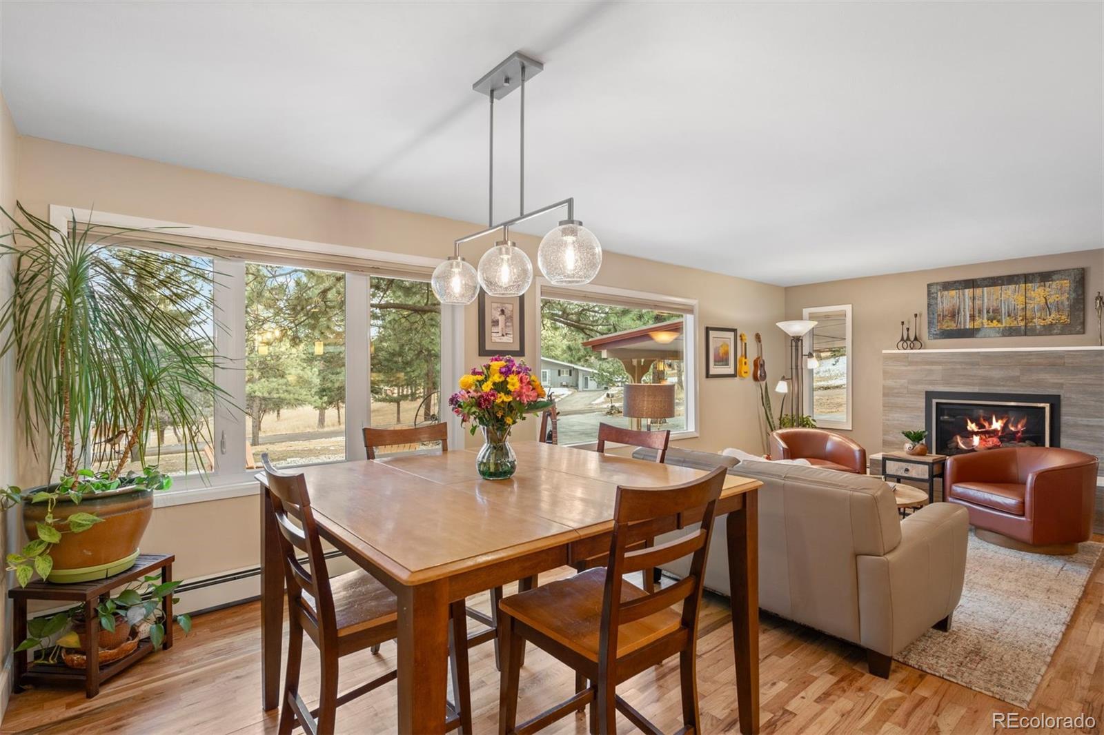 MLS Image #13 for 5313  maggie lane,evergreen, Colorado