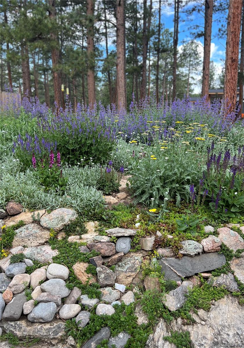MLS Image #47 for 5313  maggie lane,evergreen, Colorado