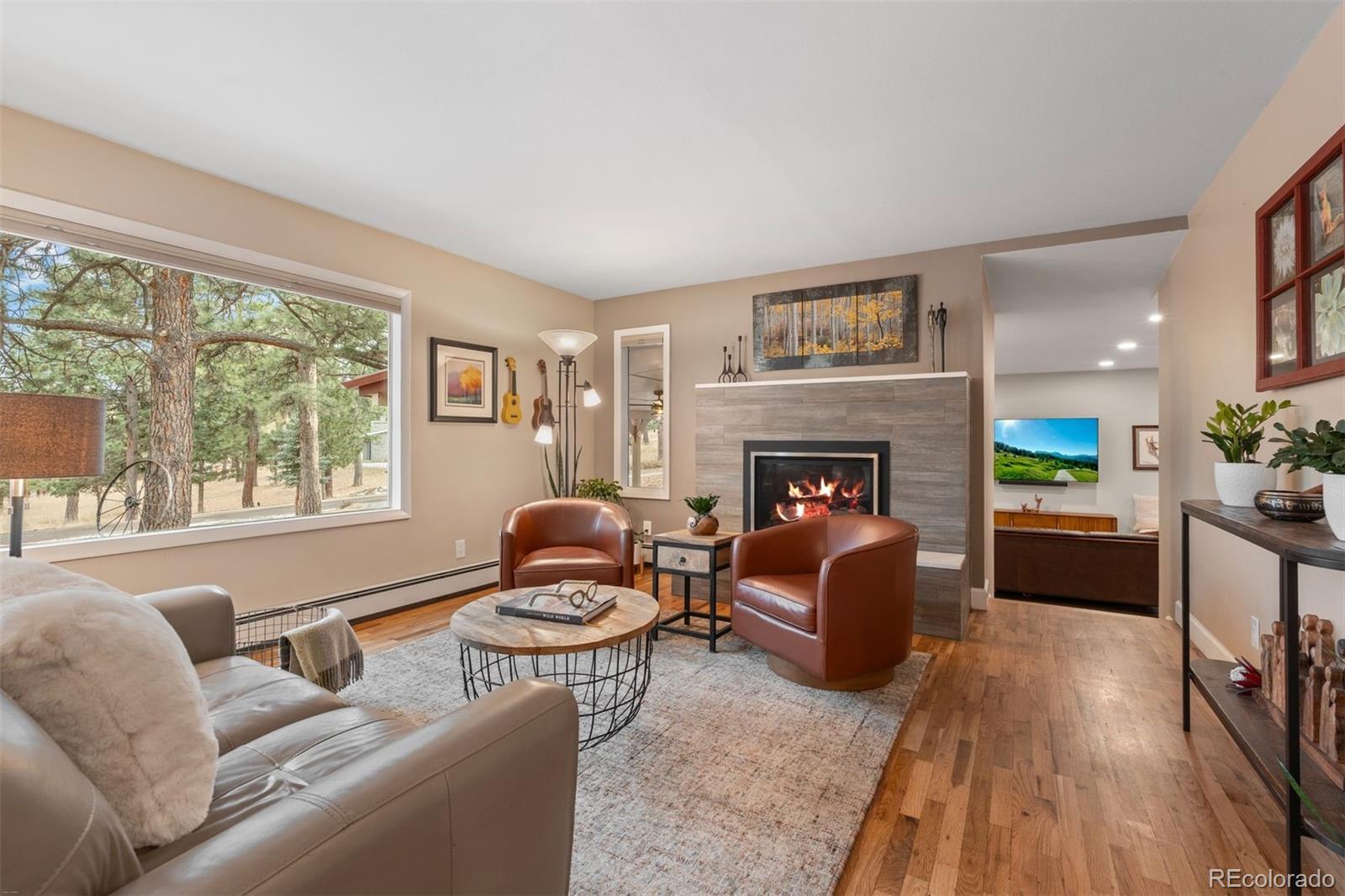 MLS Image #8 for 5313  maggie lane,evergreen, Colorado
