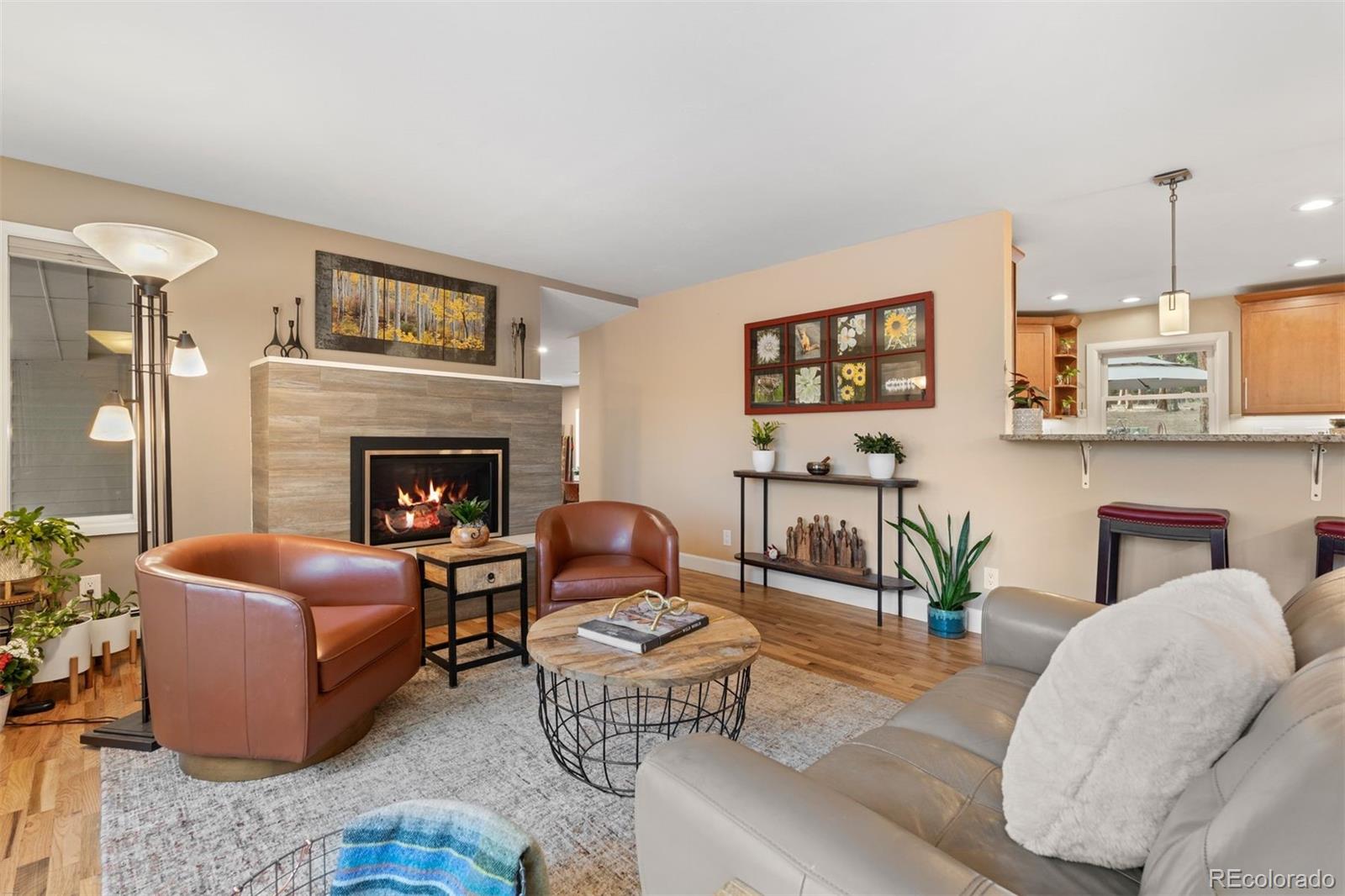 MLS Image #9 for 5313  maggie lane,evergreen, Colorado
