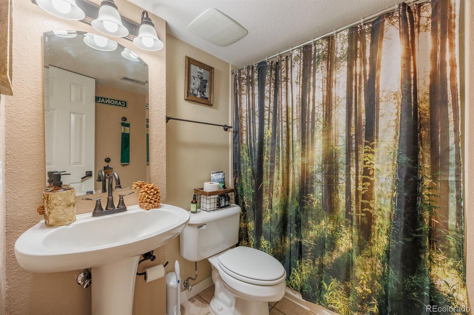 MLS Image #28 for 10678  stone creek court,parker, Colorado