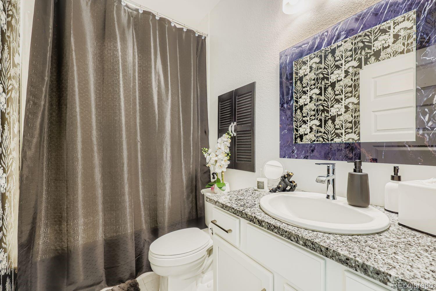 MLS Image #15 for 11897  sea oats street,parker, Colorado