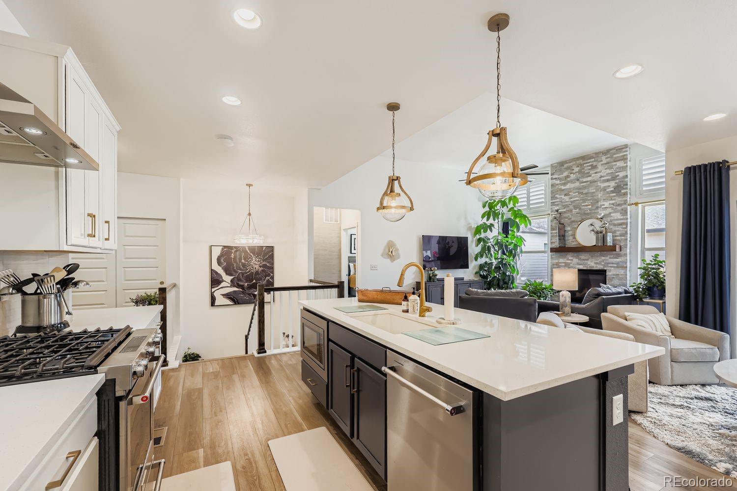 MLS Image #9 for 11897  sea oats street,parker, Colorado
