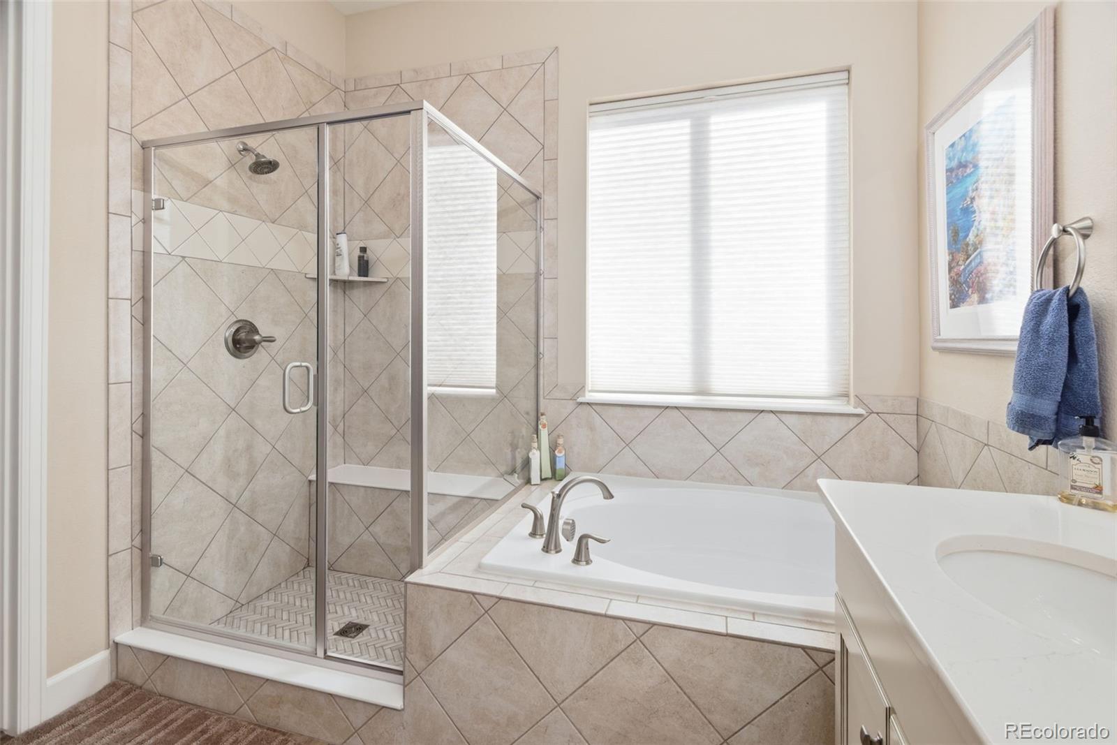 MLS Image #27 for 7005  leilani drive,castle rock, Colorado