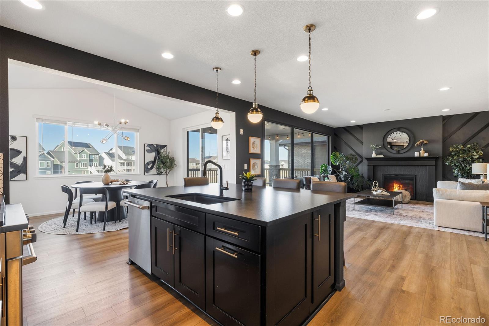 MLS Image #10 for 8893  animas river street,littleton, Colorado