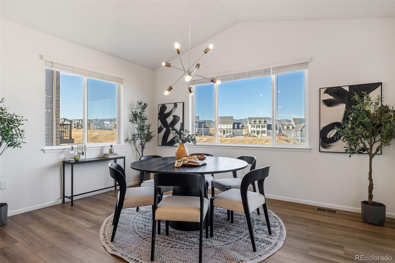 MLS Image #11 for 8893  animas river street,littleton, Colorado