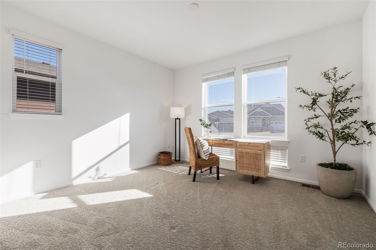 MLS Image #15 for 8893  animas river street,littleton, Colorado