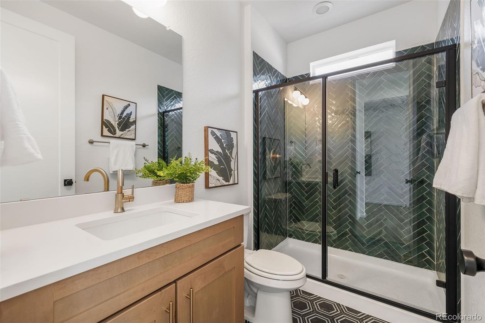 MLS Image #16 for 8893  animas river street,littleton, Colorado