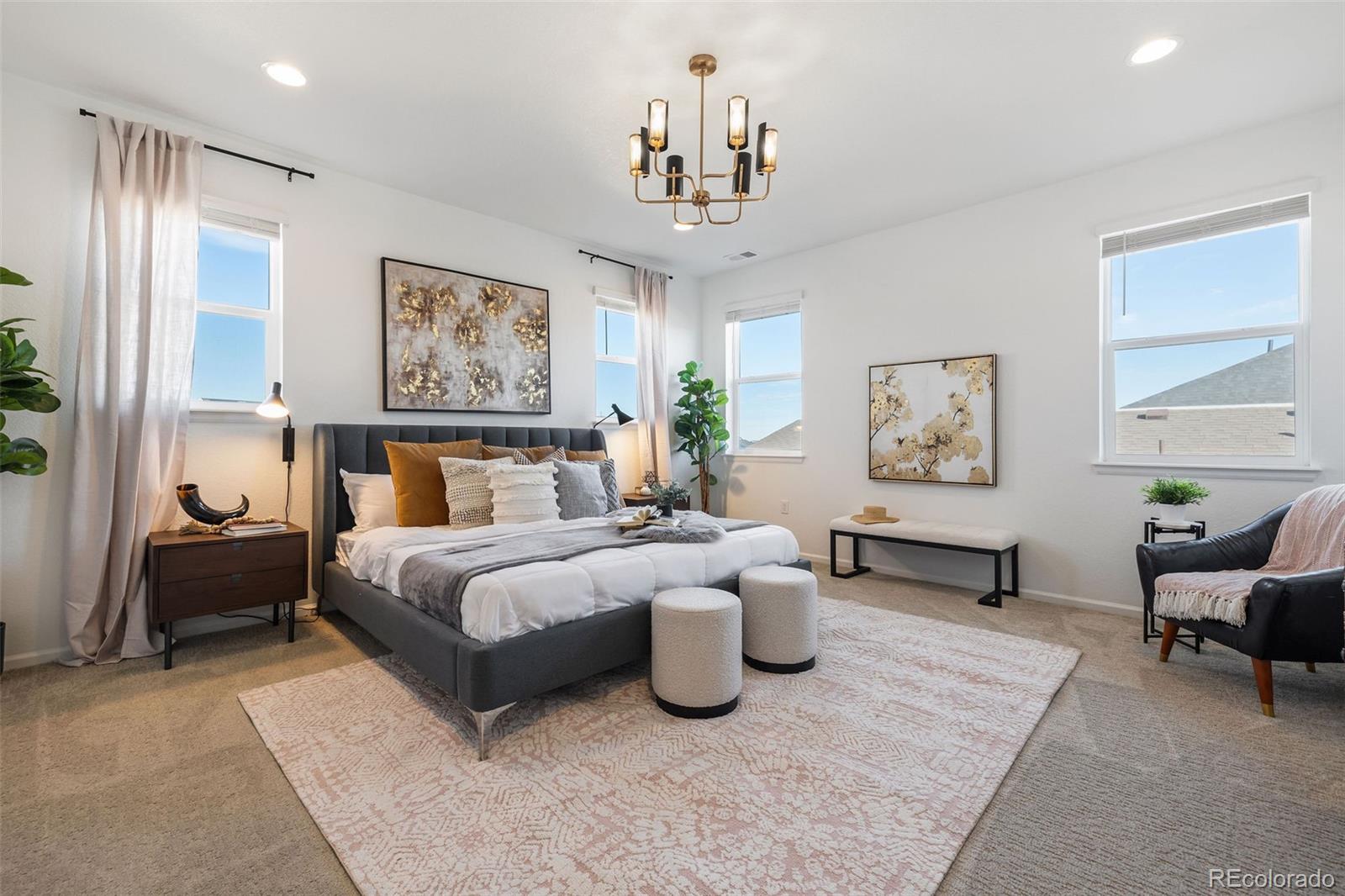 MLS Image #18 for 8893  animas river street,littleton, Colorado