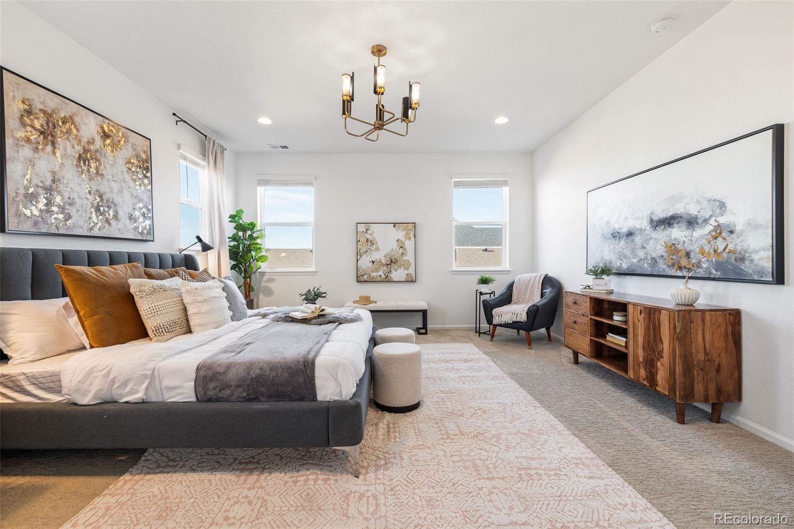 MLS Image #19 for 8893  animas river street,littleton, Colorado