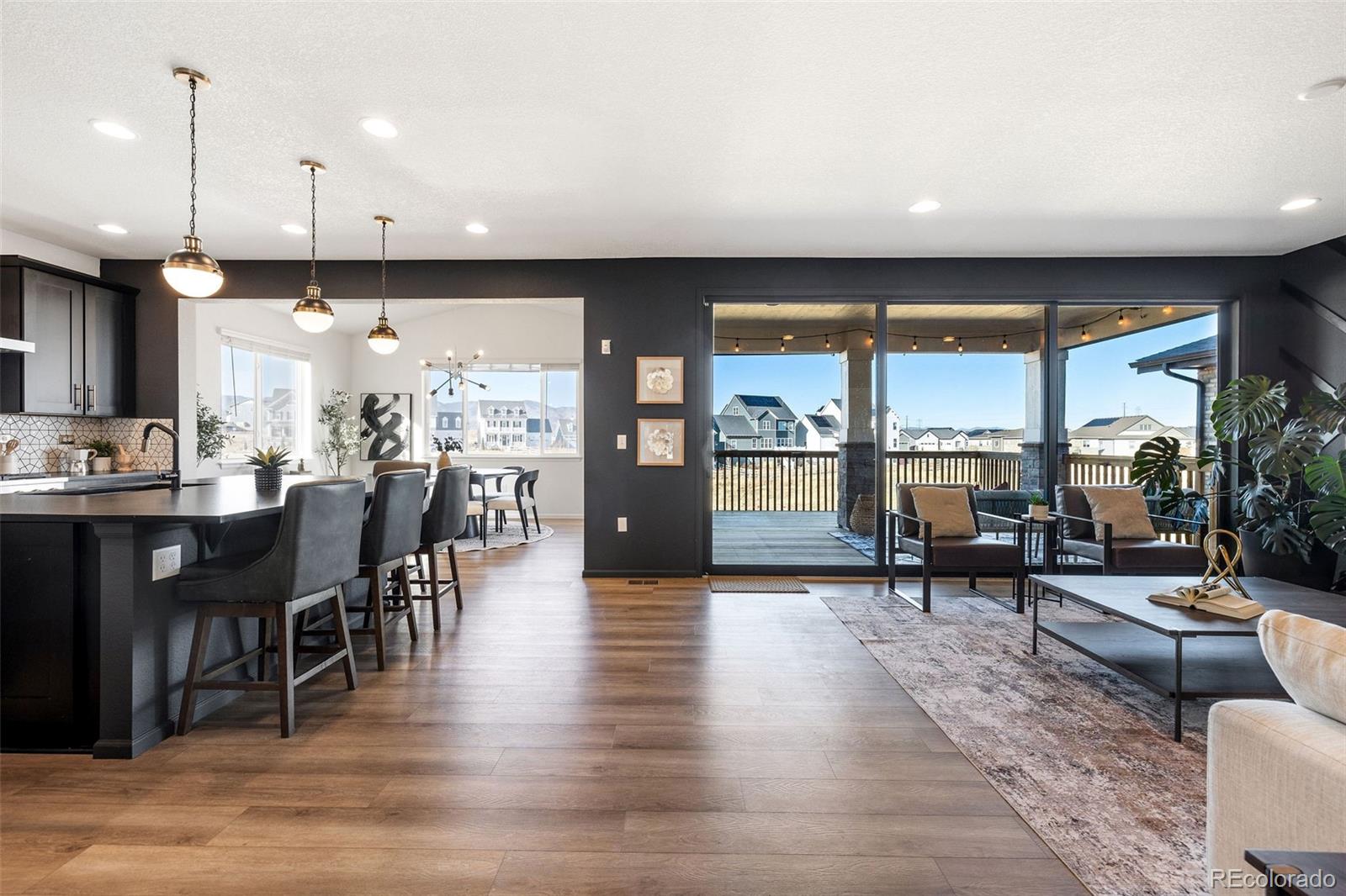 MLS Image #2 for 8893  animas river street,littleton, Colorado