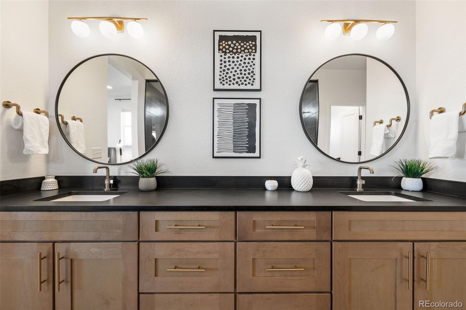 MLS Image #23 for 8893  animas river street,littleton, Colorado