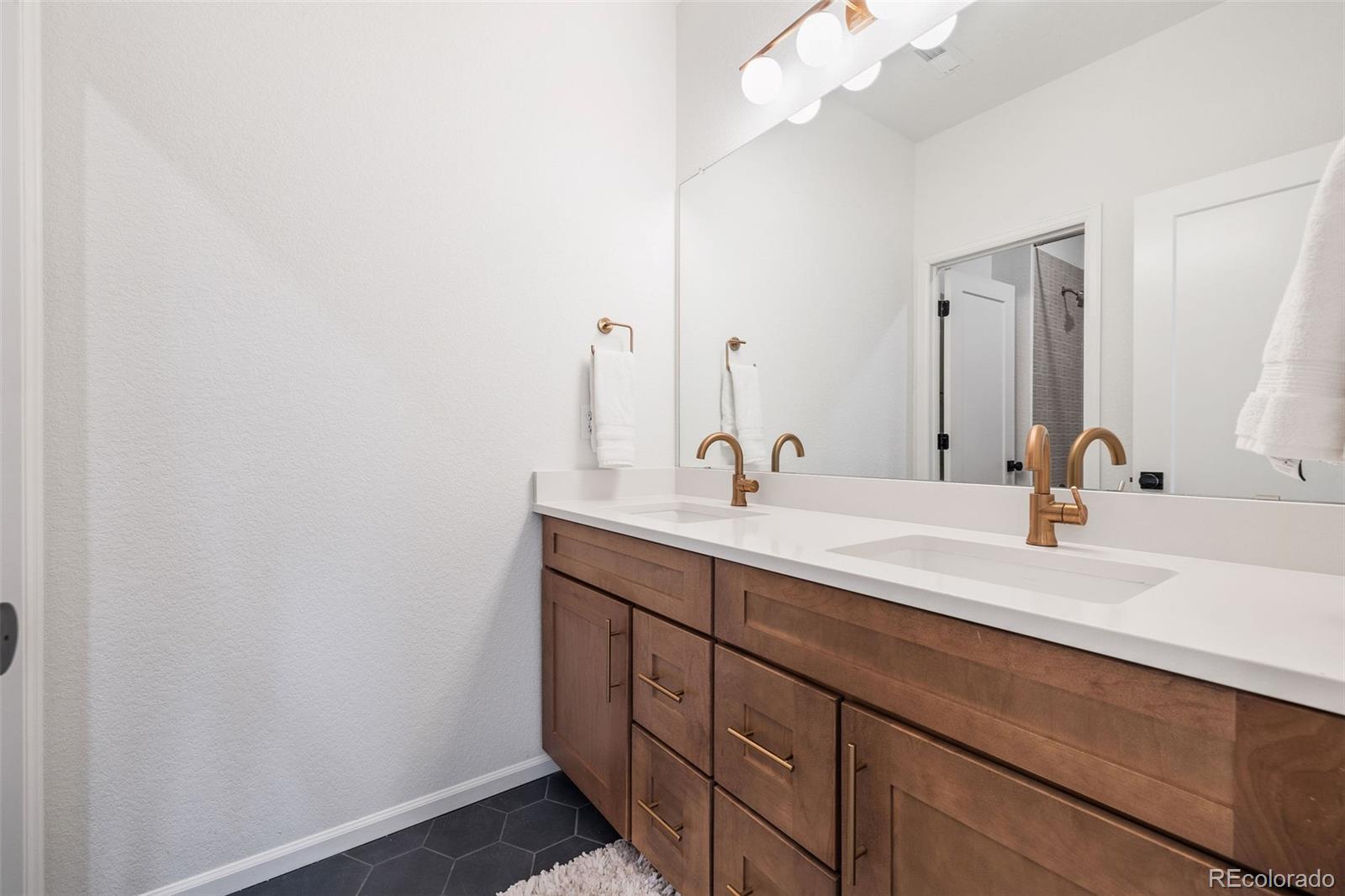 MLS Image #29 for 8893  animas river street,littleton, Colorado