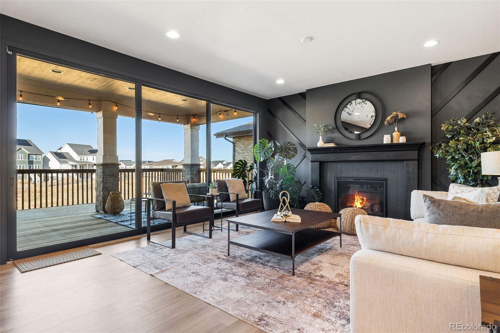 MLS Image #4 for 8893  animas river street,littleton, Colorado