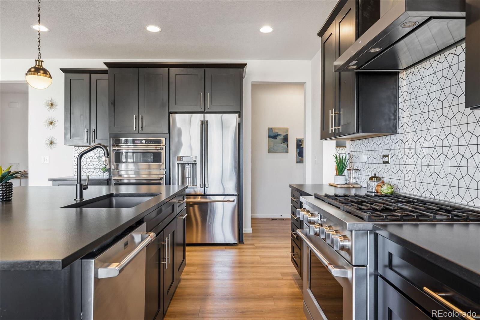 MLS Image #7 for 8893  animas river street,littleton, Colorado