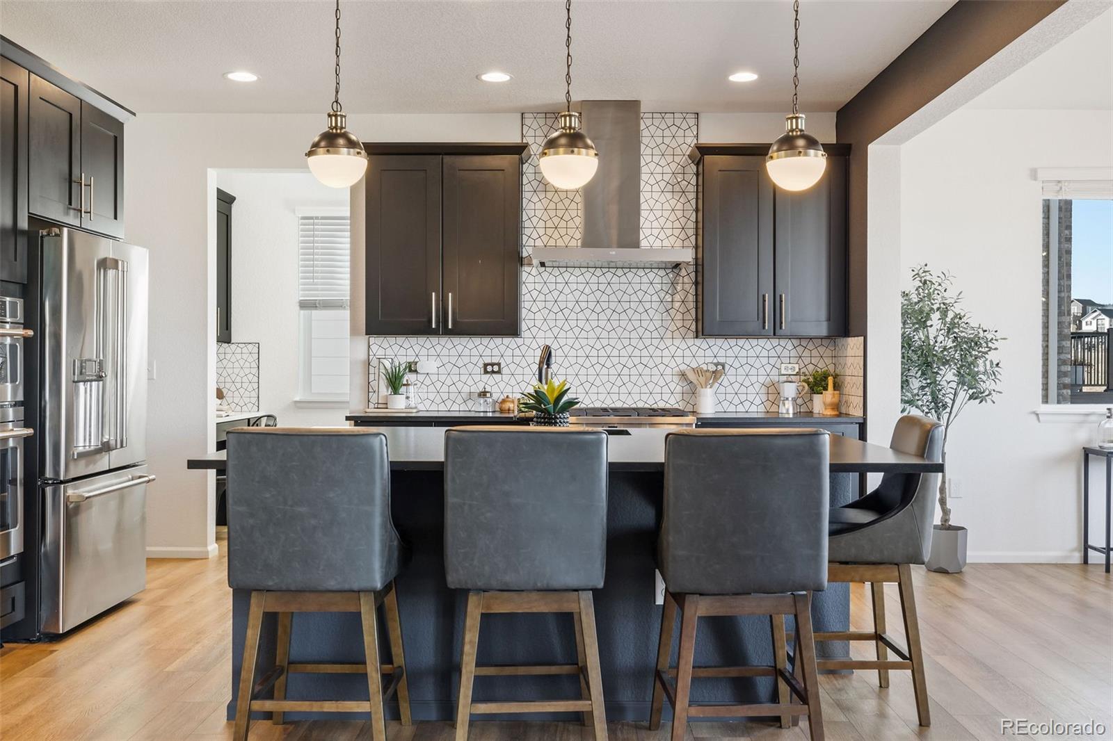 MLS Image #8 for 8893  animas river street,littleton, Colorado