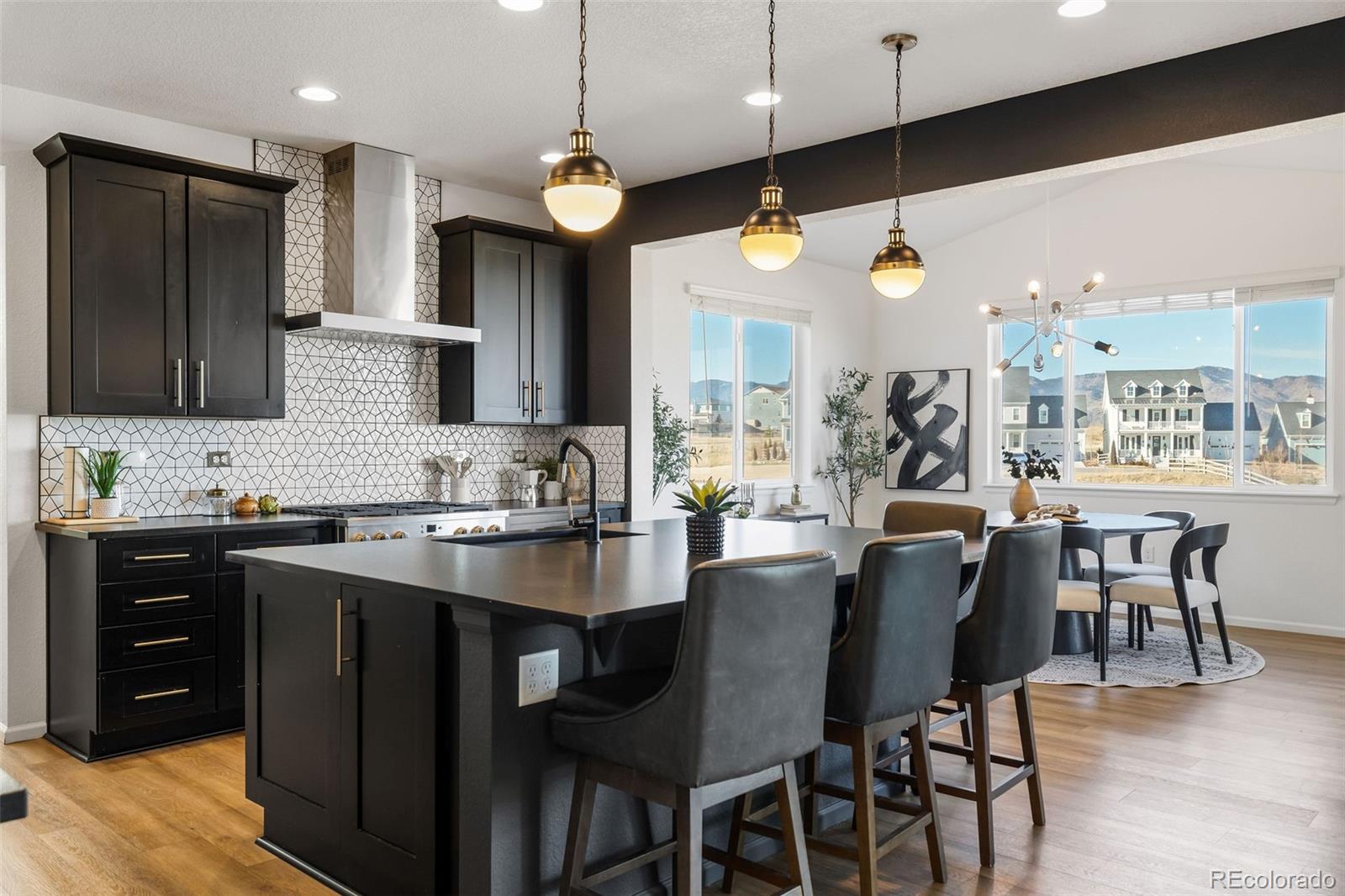 MLS Image #9 for 8893  animas river street,littleton, Colorado