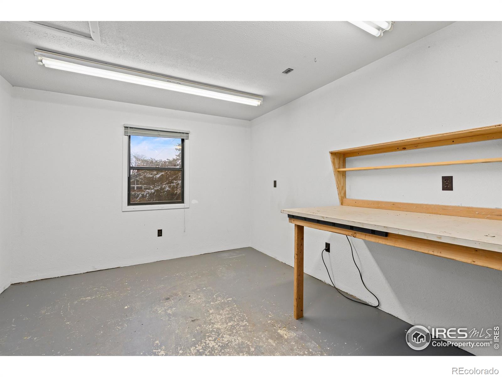 MLS Image #18 for 3322  ash avenue,loveland, Colorado