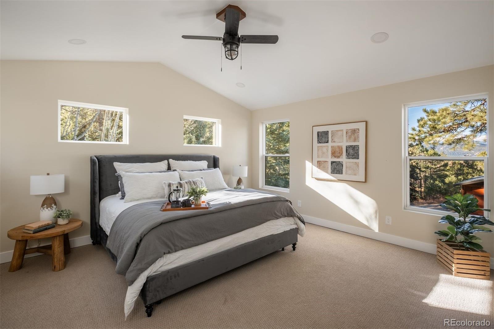 MLS Image #17 for 25728  stanley park road,evergreen, Colorado