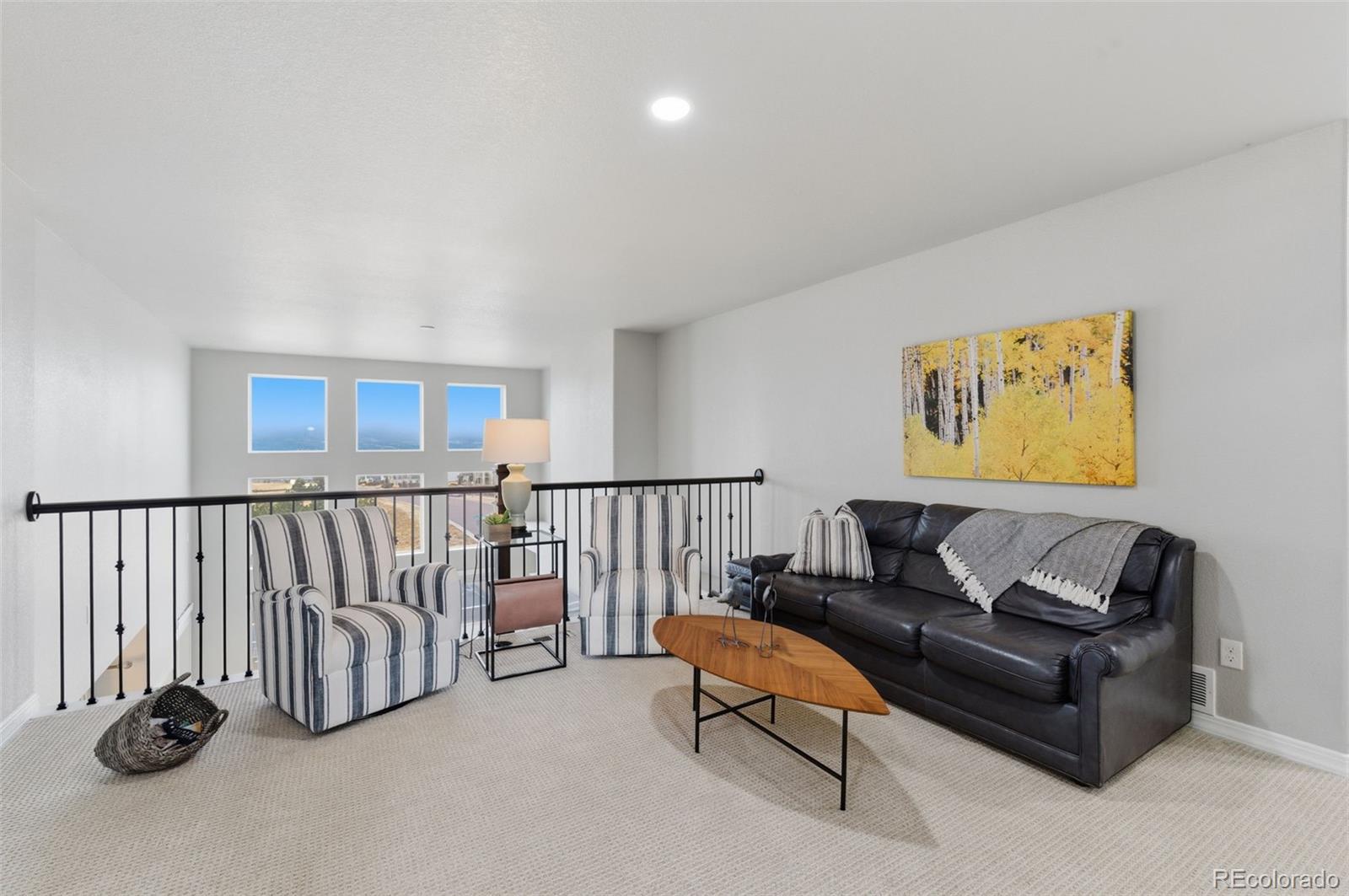 MLS Image #22 for 10902  echo canyon drive,colorado springs, Colorado
